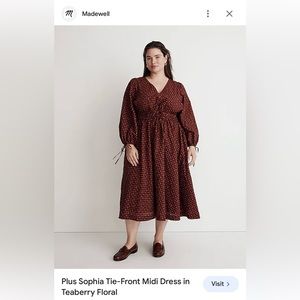 New Madewell Sophia Tie Front Dress in Teaberry Floral